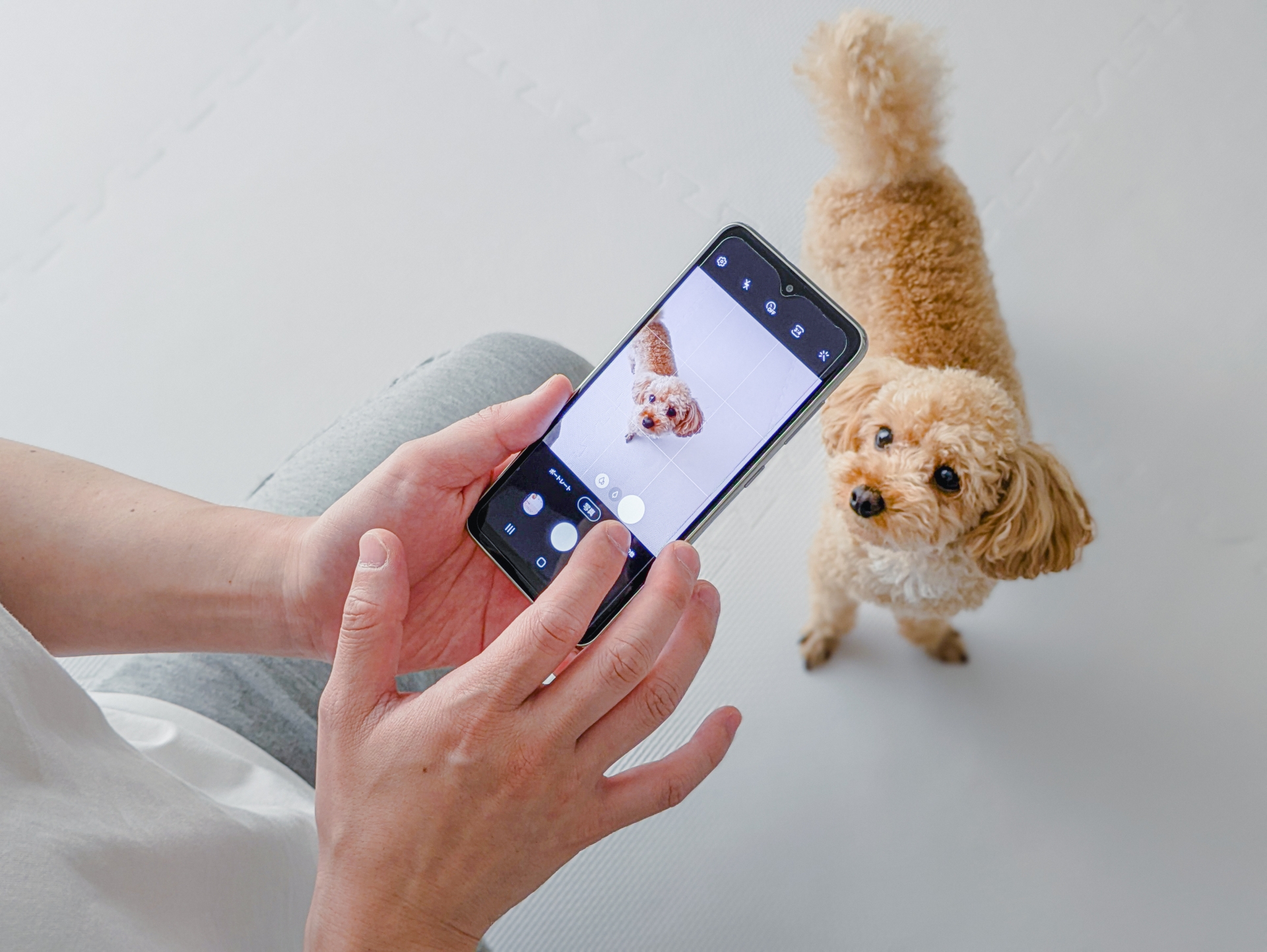 安全な副業⑤写真販売：スマホで撮った写真が収入になる