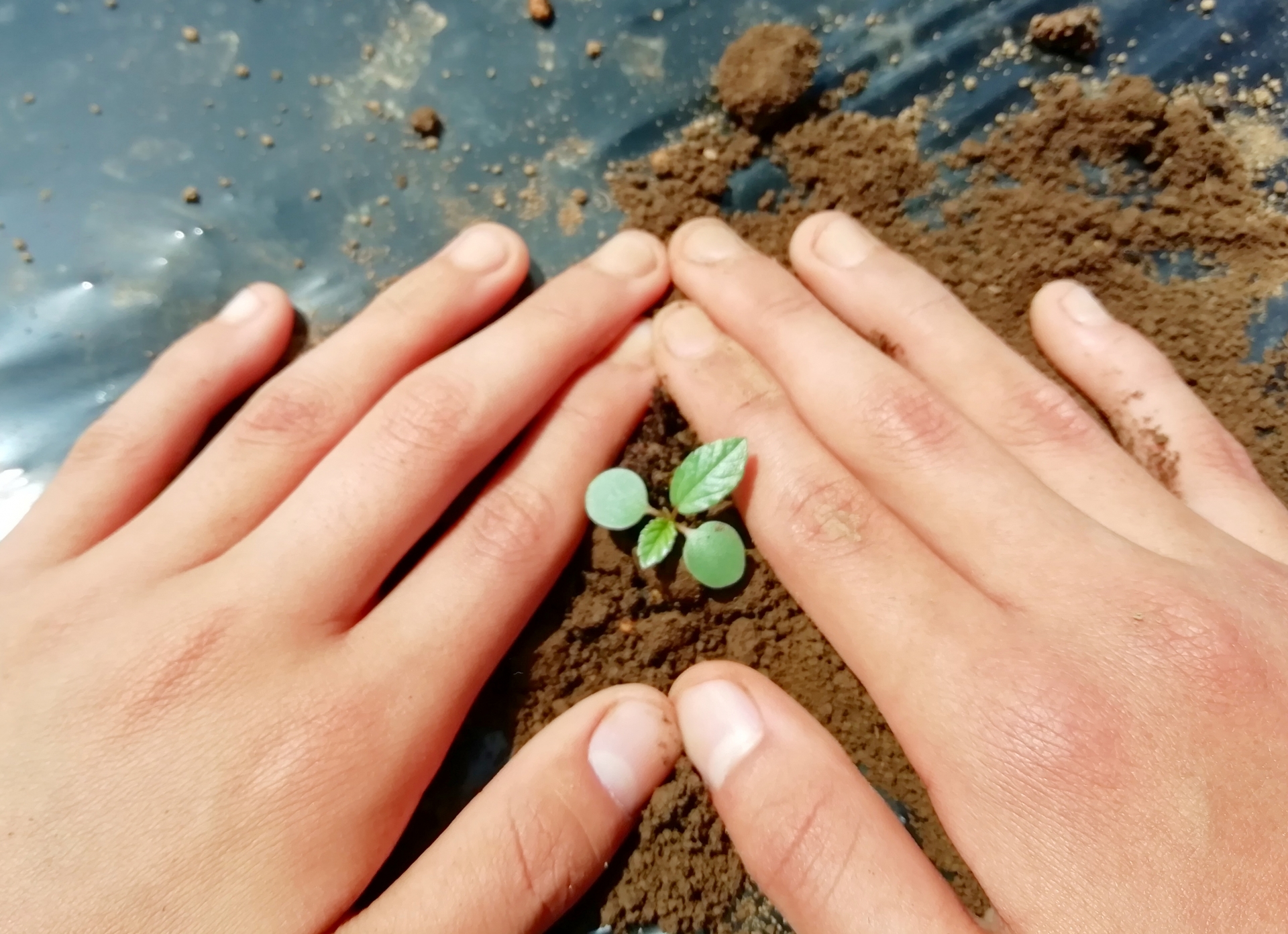 ぽんぬが図解デザイナー講座で大切にしていること